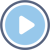 Meritus LP_icon_video
